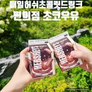 지에스(GS)25 수유기쁨점 | gs25 편의점 초코우유 매일 허쉬초콜릿드링크 정보 후기