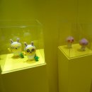 호야 달수 이미지