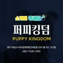 퍼피월드 이미지