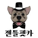 펫택시펫카 이미지