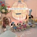 주토피아 | 제주 애월 케이크 ‘주토피아’ 레터링케이크 주문 후기 (내돈내산)