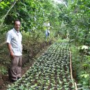 한국커피협동조합 이미지