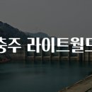 충주라이트월드 티스토리