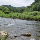 섭이수정소 | Stream Master 4번 플라이 로드 출시 조행 다녀왔습니다.