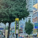 수제한의원 | 대연동 한의원 근육통 추나치료 잘하는 한의원 (물리치료+추나 후기)