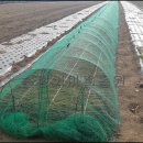 백송농장 이미지