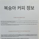 김오르