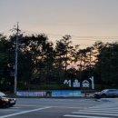 도심 - 공간 | 서울 도심 속 힐링 공간 서울숲 나들이 후기