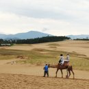 바람과 파도가 빚어낸 대서사시, 돗토리사구 이미지