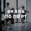 바디포커스 선수& 재활센터 이미지