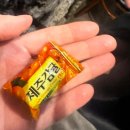 제주옥탑인천검단 | 인천 검단신도시 삽겹살 맛집 '제주옥탑' ㅣ 구워주는 고깃집