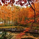 장태산 자연 휴양림 이미지