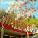 진교장례식장 | 당일치기 수상레저 물놀이 금오산랜드 물썰매장 솔직후기