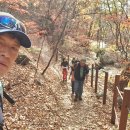 단촌초등학교 이미지