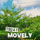 모블리펜션 이미지