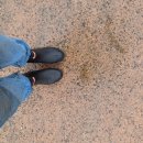 수석농장 | 아이와 주말농장 1년 후기: 아이가 직접 고른 '최애 작물' 키우기 (시금치, 봉숭아)