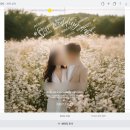 미리캔버스로 디자인하기(야간) | 미리 캔버스로 셀프 청첩장 제작 후기!