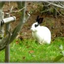 누리마루 이미지