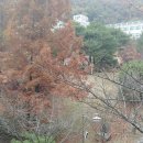 한국생애설계교육원 이미지