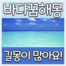 [바다꿈] 맑은 바다꿈(푸른바다꿈) 싹쓰리 정리! 이미지