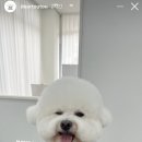 뚜뚜미용실