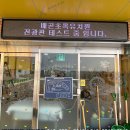 초록유치원 이미지