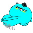 캔들바다 이미지