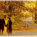 니랑나랑 이미지