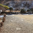 돼지마을 이미지