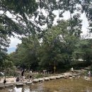 돌담집 | [과천] 서울 근교 계곡 식당 과천 돌담집 식당 후기 (주차 예약)