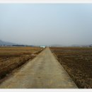 남천제방길 이미지