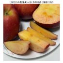 [엔부사과] 옵스 불꽃사과 첫수확, 청송 속이빨간사과 추천 후기