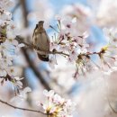 대치3길 이미지