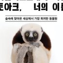 상상톡톡 미술관 - 22252 | 상상톡톡 미술관