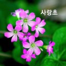 오우가 - 창원시 의창구 | 오우가