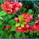 은혜병원 이미지