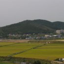 롯데마트 주변도로 이미지