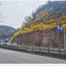 말바위세탁소 네이버블로그