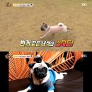 희대농장 이미지