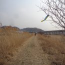 대안천교