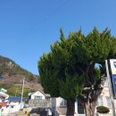 사량파출소 이미지