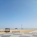 바다향기로 | 속초 당일치기 여행 시장 속초아이대관람차 해수욕장 만석닭강정 바다향기로 냉철한 후기