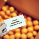 남원 제일농장 이미지