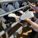 경상목장 이미지