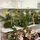 댕이샤워 | 서울 성수 셀프사진관 커플사진 📸 유앤이 성수점 결혼 1주년 기념촬영 솔직후기