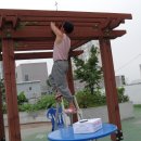 화전분재예술원