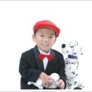 맹세호