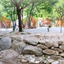 자일랜드 이미지