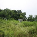 초계주씨 주명흠묘소 이미지