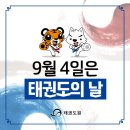 경희대 孝 태권도 이미지